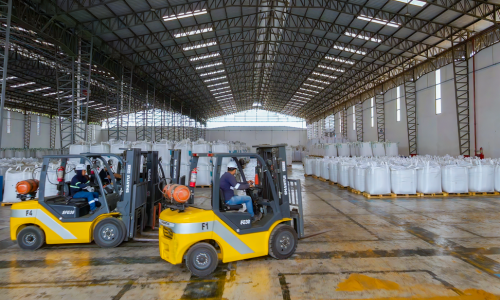 Procesamiento de materias primas